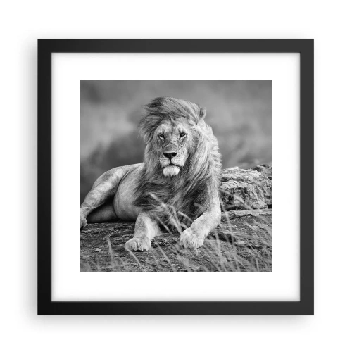 Plakat i sort ramme - Kongelig siesta - 30x30 cm