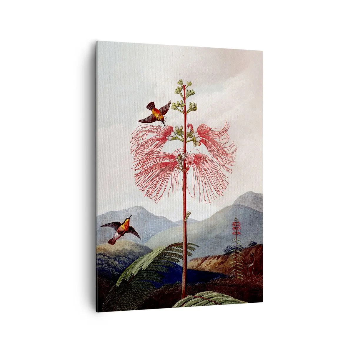 Lærredstryk - Billede på lærred - I et tropisk paradis - 70x100 cm