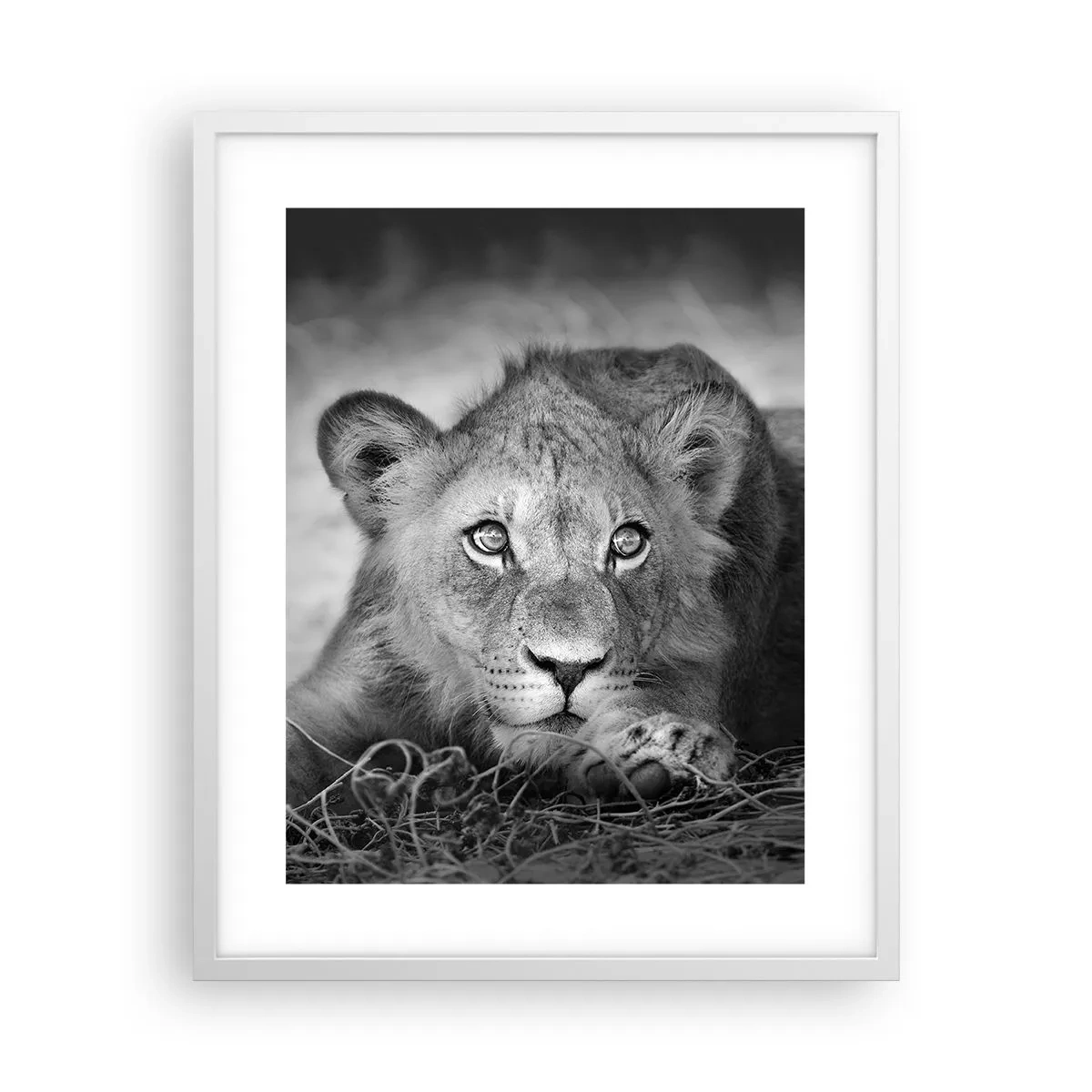 Plakat i hvid ramme - Kongelig hvalp - 40x50 cm