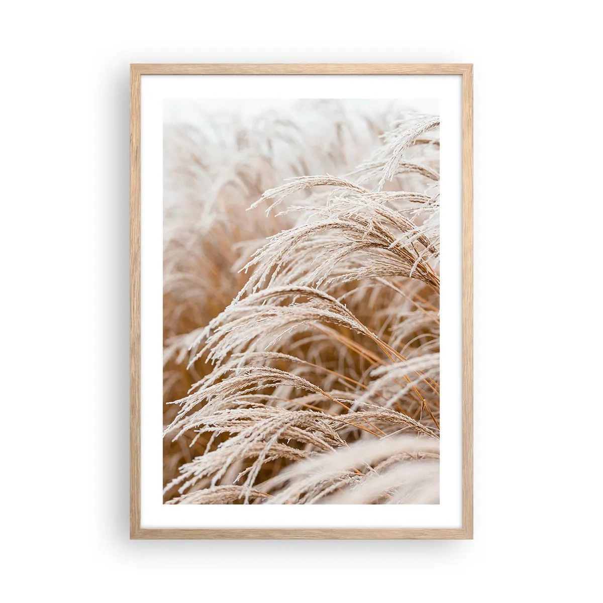 Plakat i ramme af lyst egetræ - Bøjer sig for efterårssolen - 50x70 cm