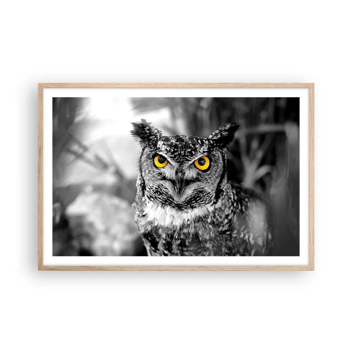 Plakat i ramme af lyst egetræ - Intet kan skjules - 91x61 cm