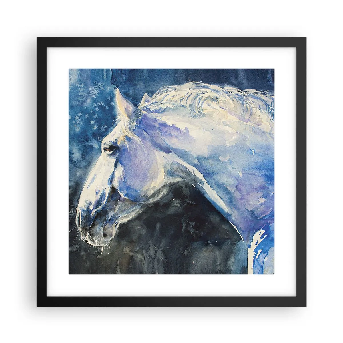 Plakat i sort ramme - Portræt i et blåt skær - 40x40 cm
