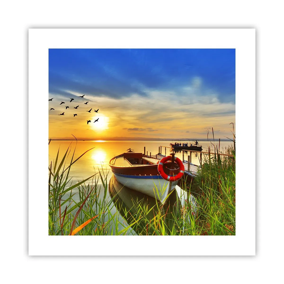 Plakat - Skarverne er allerede på vej væk - 40x40 cm