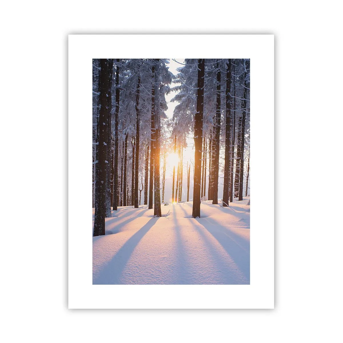 Plakat - Klart i sort og hvidt - 30x40 cm