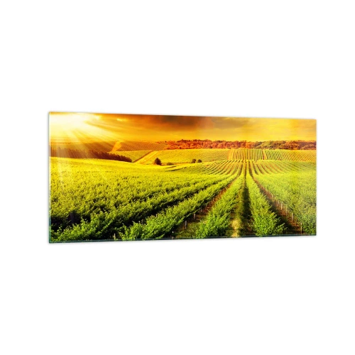 Billede på glas - Under den australske sol - 120x50 cm