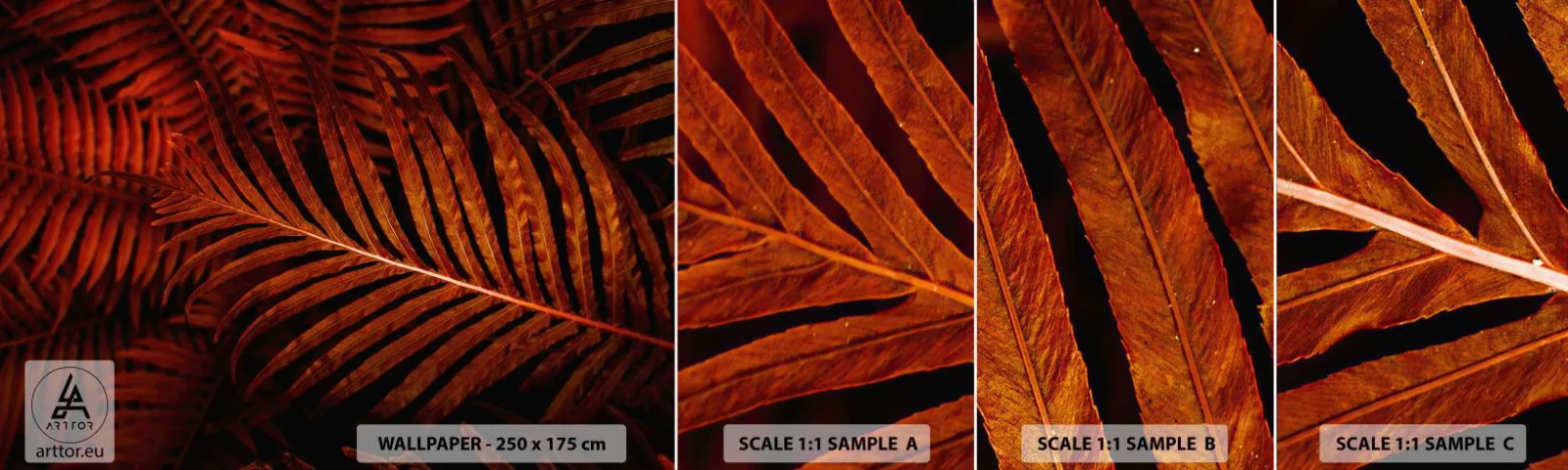 Fototapet Prøve Standard Eco - Livets varme - Abstraktion, Palmeblade, Tropisk plante - 100x30 cm