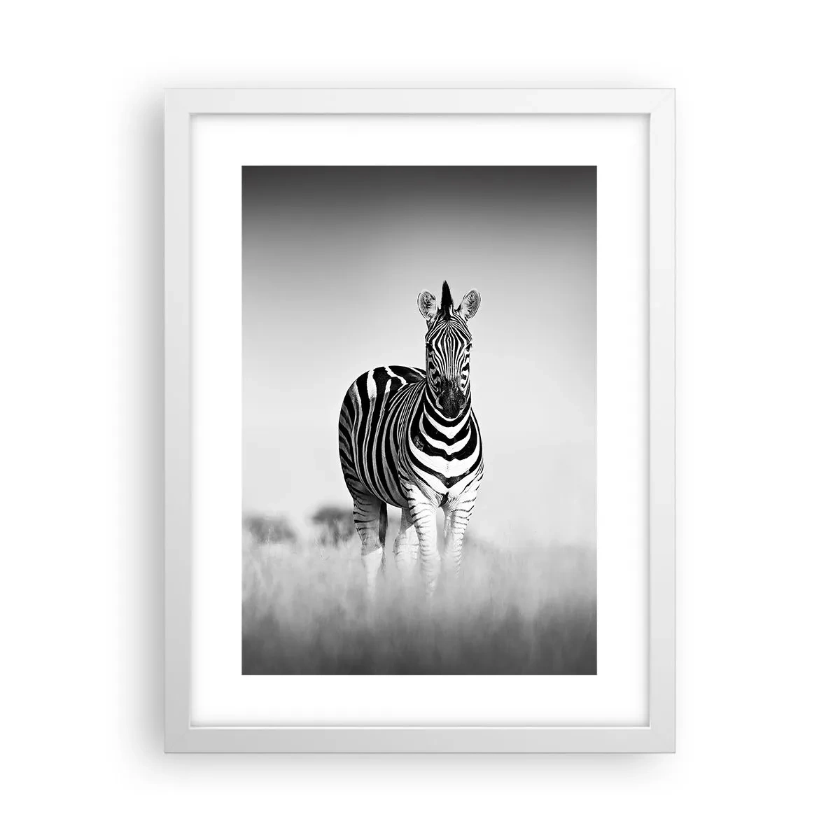 Plakat i hvid ramme - Og alligevel er verden sort og hvid - 30x40 cm