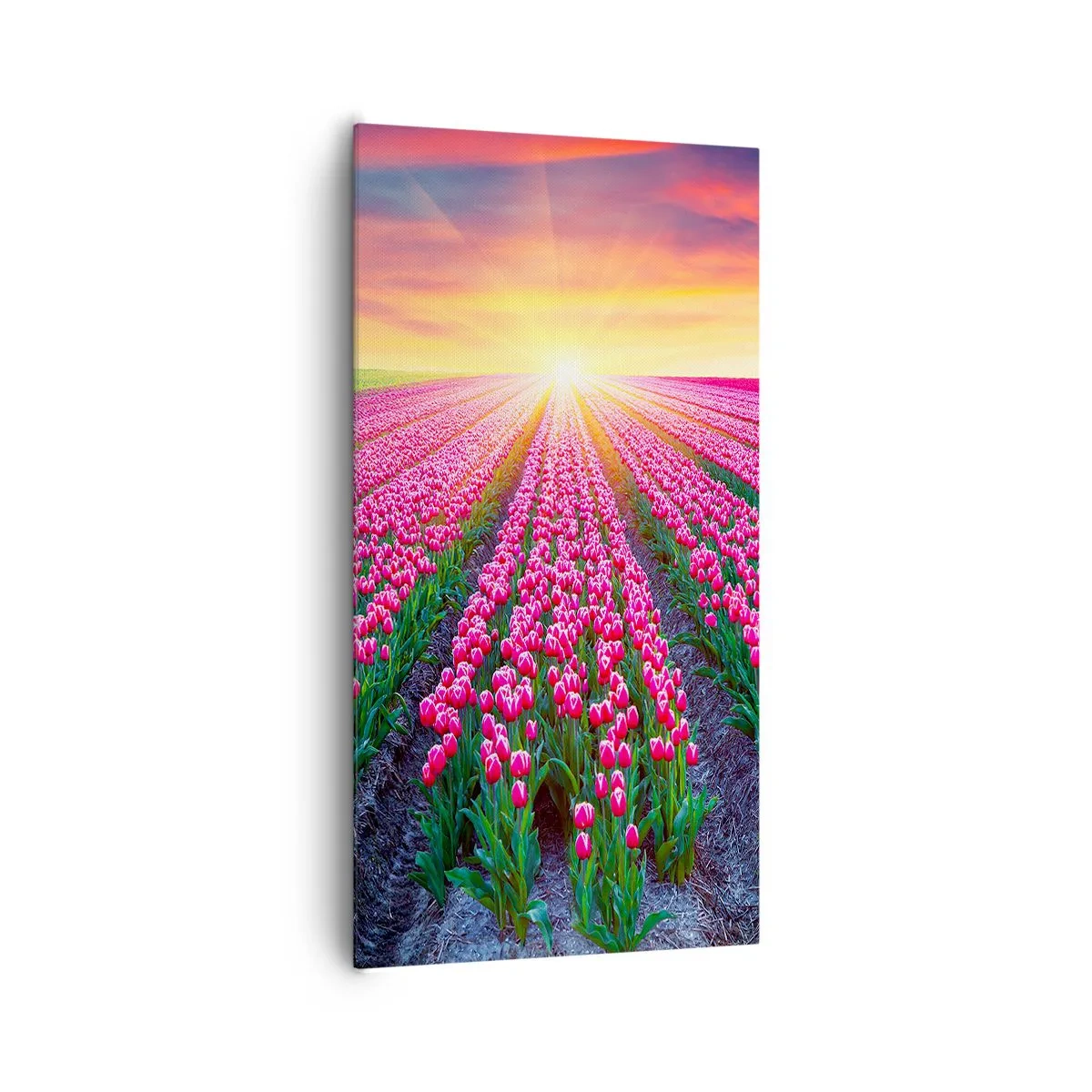 Lærredstryk - Billede på lærred - Skønhedsfarm - 65x120 cm
