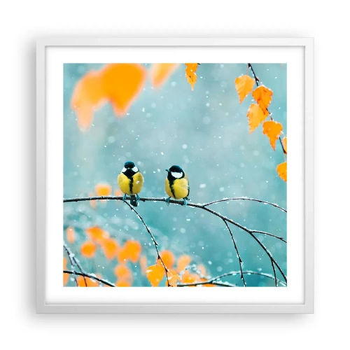 Plakat i hvid ramme - Sladder om fugle - 50x50 cm