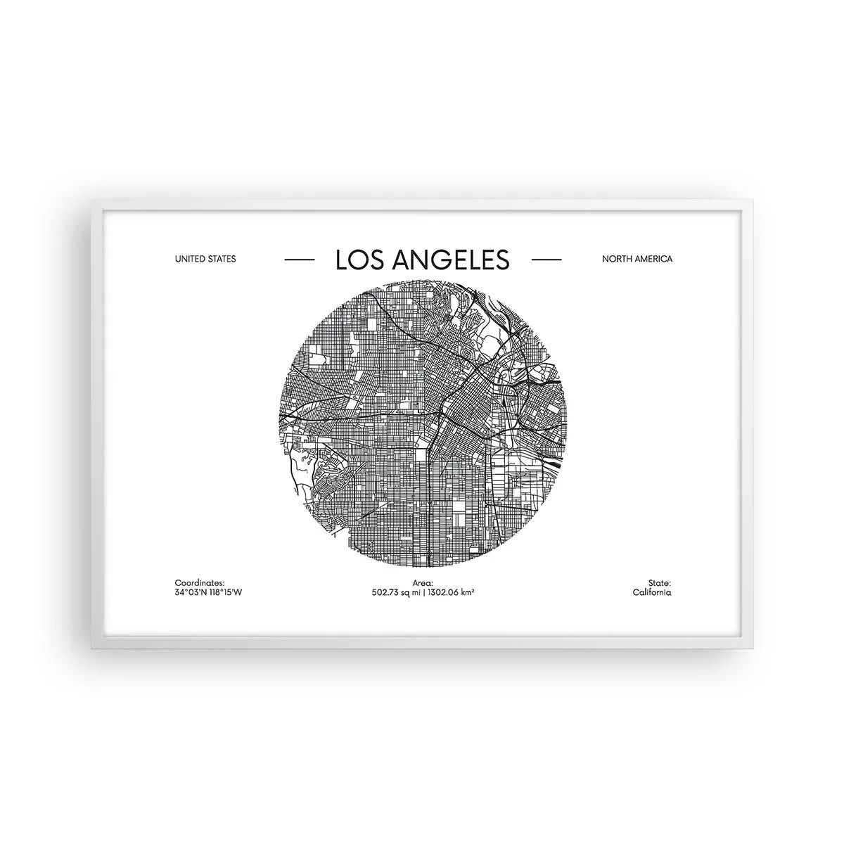 Plakat i hvid ramme - Los Angeles' anatomi - 91x61 cm
