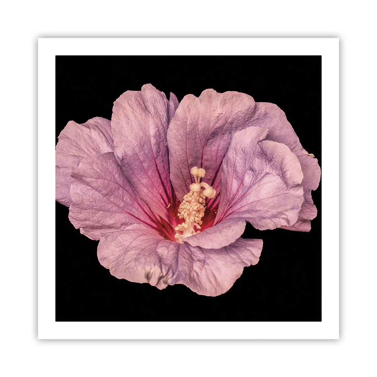 Plakat - Lige i hjertet - 60x60 cm