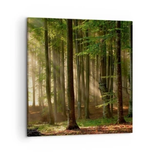 Lærredstryk - Billede på lærred - Strålende på en forårsmorgen - 50x50 cm