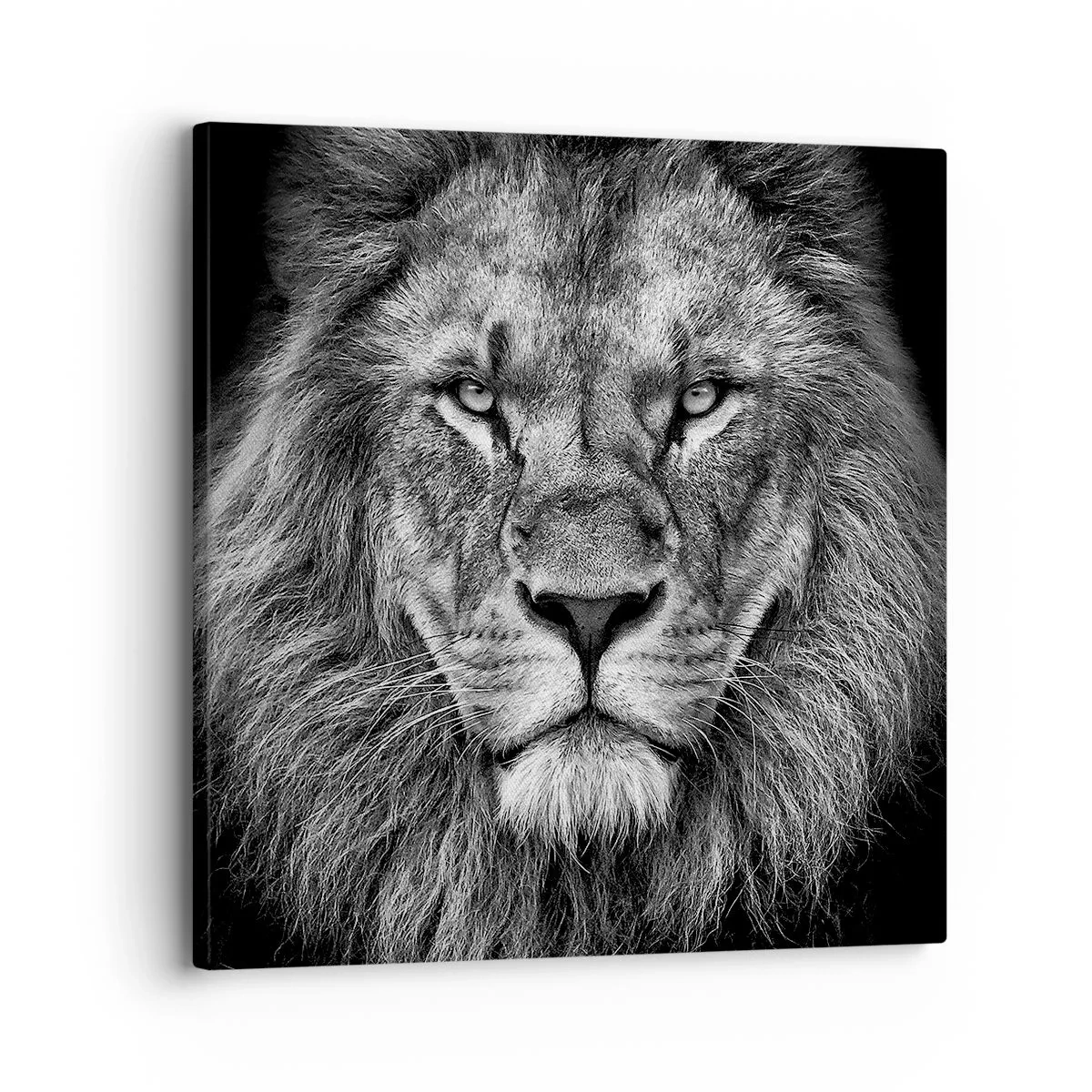 Lærredstryk - Billede på lærred - I kroningsklædning - 30x30 cm
