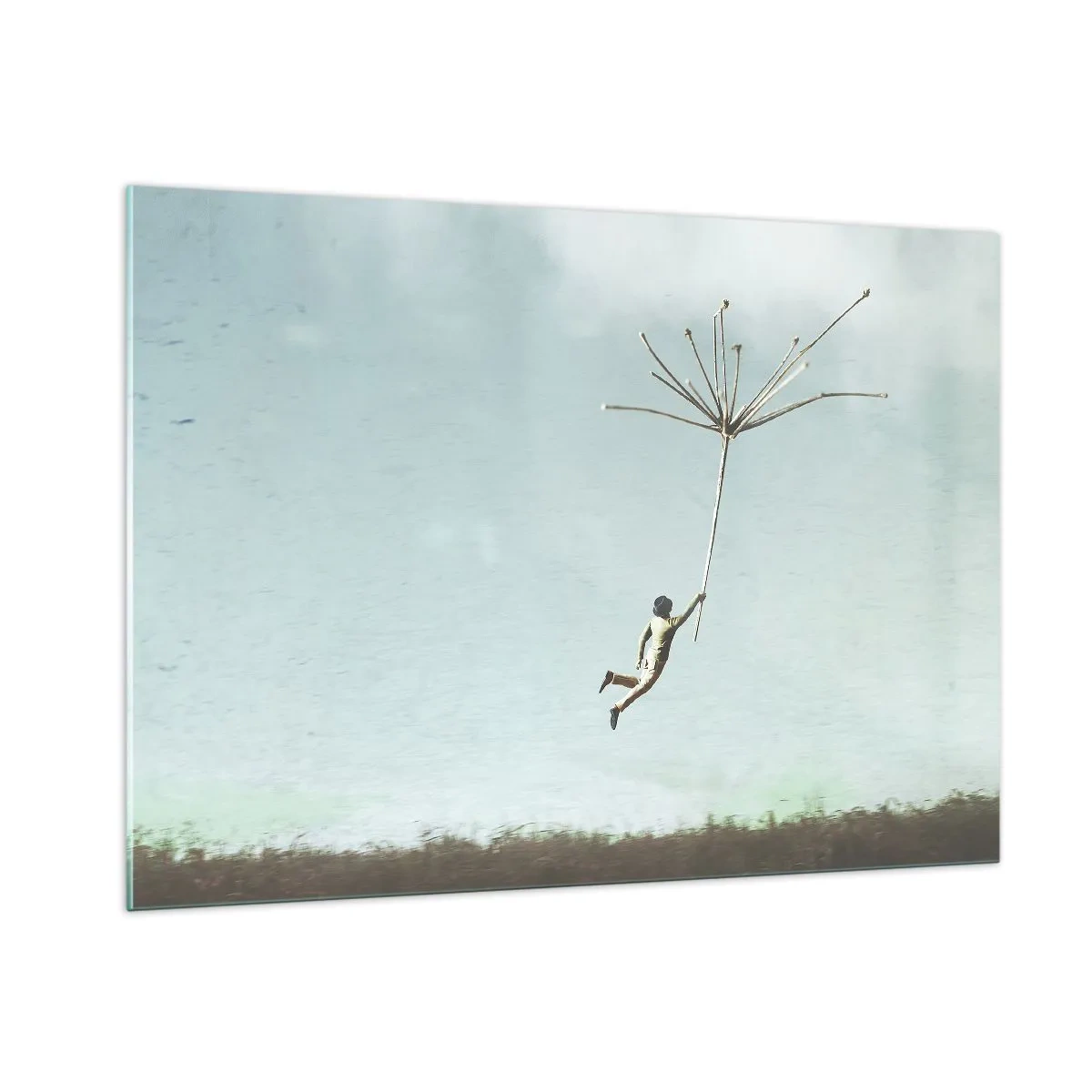 Billede på glas - Drager, blæsere, vind - 100x70 cm