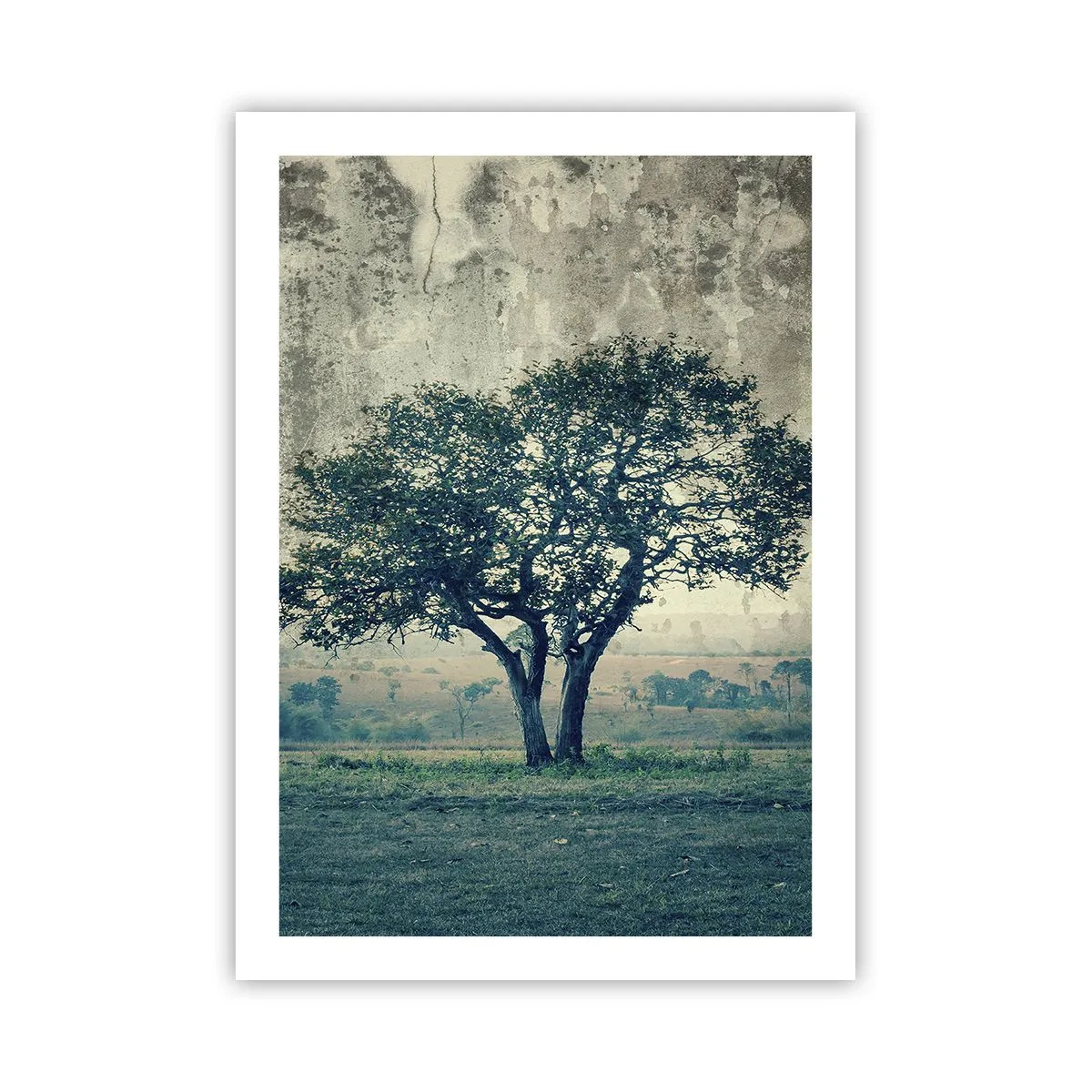 Plakat - Et æbletræ på en blå membran? - 50x70 cm