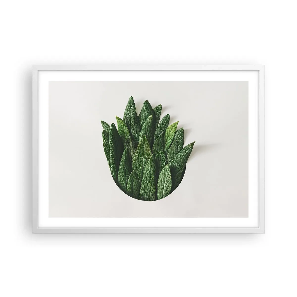 Plakat i hvid ramme - Uhæmmet nysgerrighed - 70x50 cm