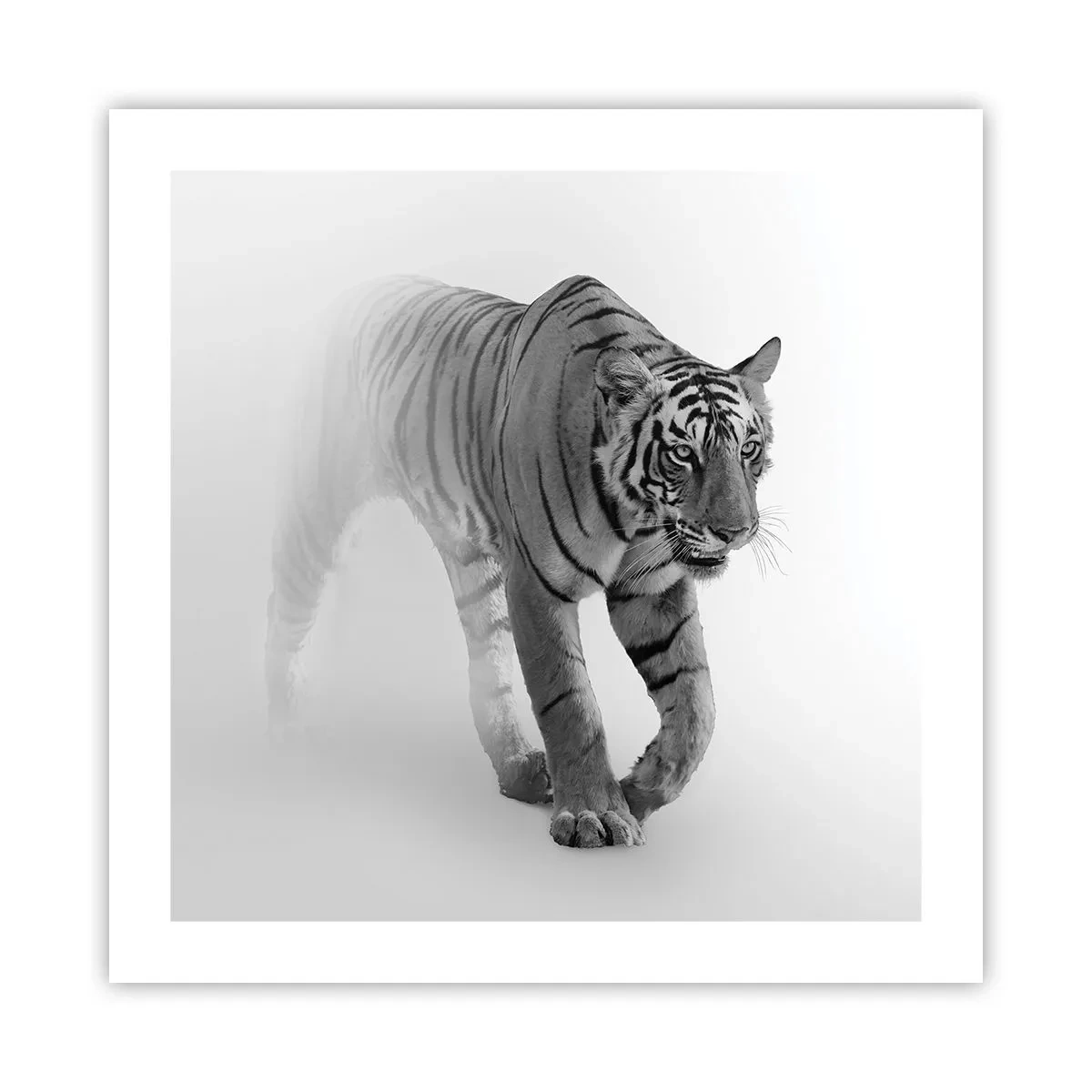 Plakat - Krybende i tågen - 50x50 cm