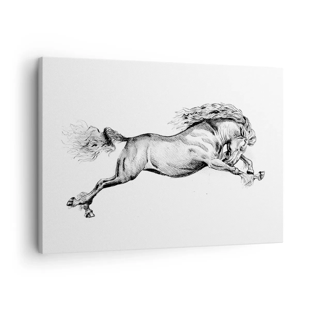 Lærredstryk - Billede på lærred - Skitse af en hest i dynamisk galop på en hvid baggrund - 70x50cm - Stoppet i galop - Moderne vægdekoration til stue og soveværelse ARTTOR