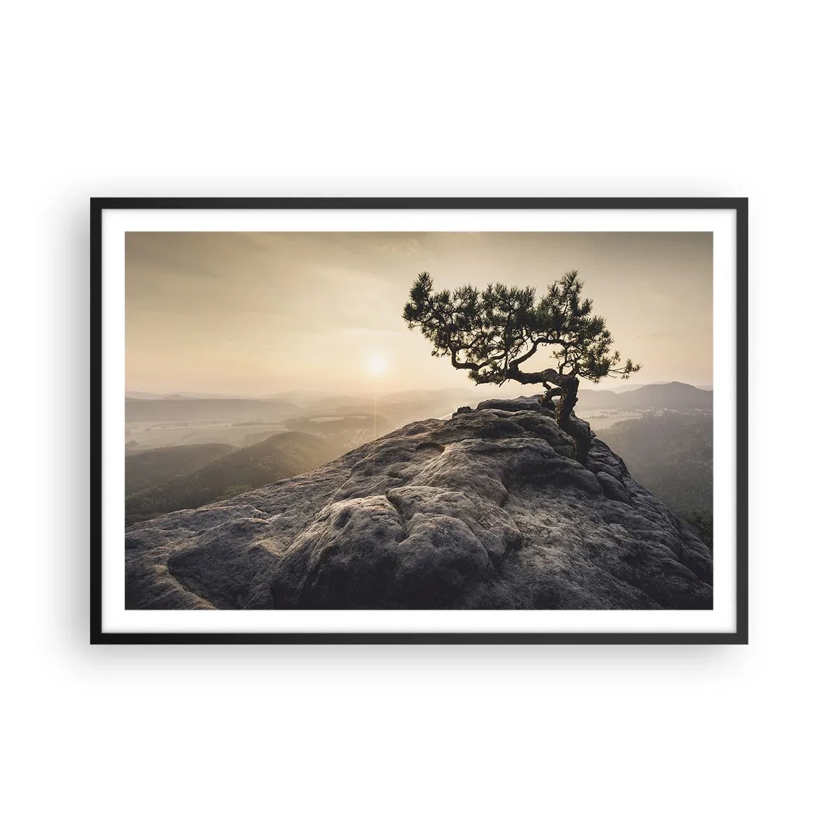 Plakat i sort ramme - Livet vinder altid - 91x61 cm