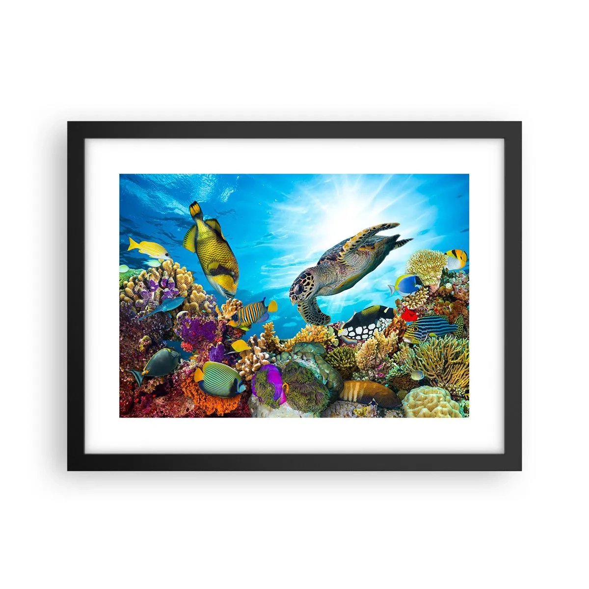 Plakat i sort ramme - Koralpromenade - 40x30 cm