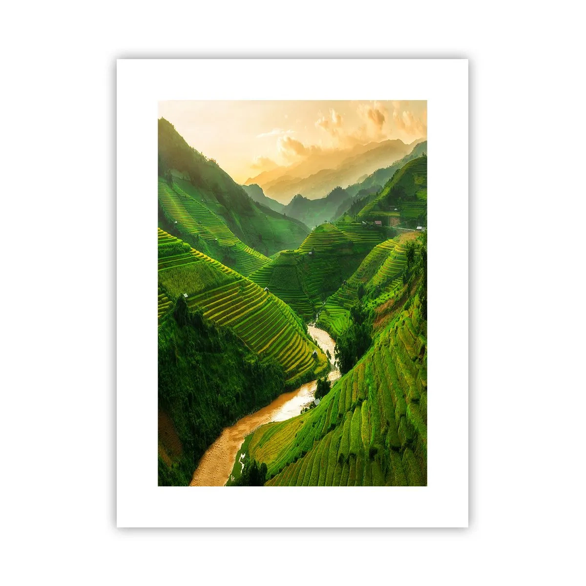 Plakat - Vietnamesisk dal - 30x40 cm