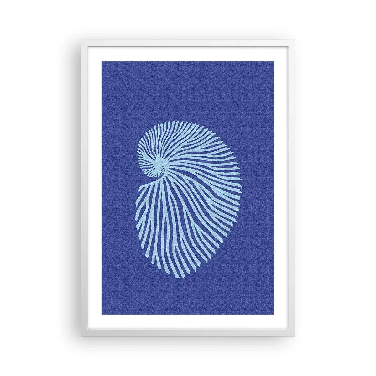 Plakat i hvid ramme - Fødsel af en skal - 50x70 cm