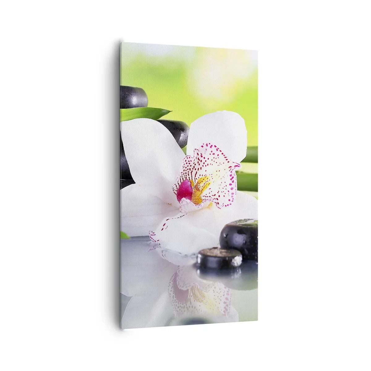 Lærredstryk - Billede på lærred - Kølig friskhed - 65x120 cm