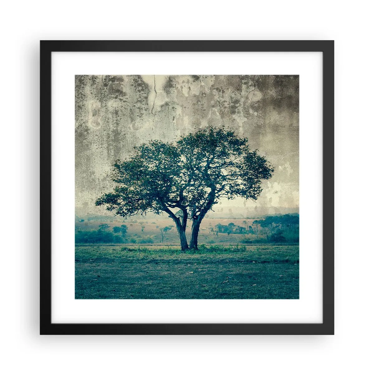 Plakat i sort ramme - Et æbletræ på en blå membran? - 40x40 cm
