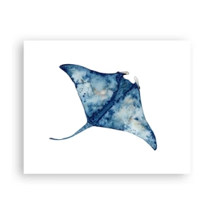 Plakat - Liv i blåt - 50x40 cm