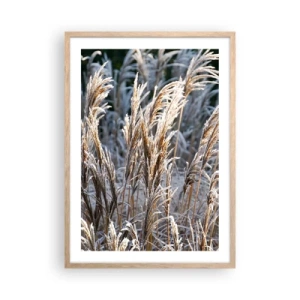 Plakat i ramme af lyst egetræ - Pyntet med frost - 50x70 cm