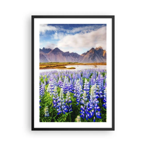 Plakat i sort ramme - En mark med lupiner med bjerge i baggrunden - 50x70cm - Styrke og strenghed ved siden af blidhed - Moderne vægdekoration til stue og soveværelse ARTTOR