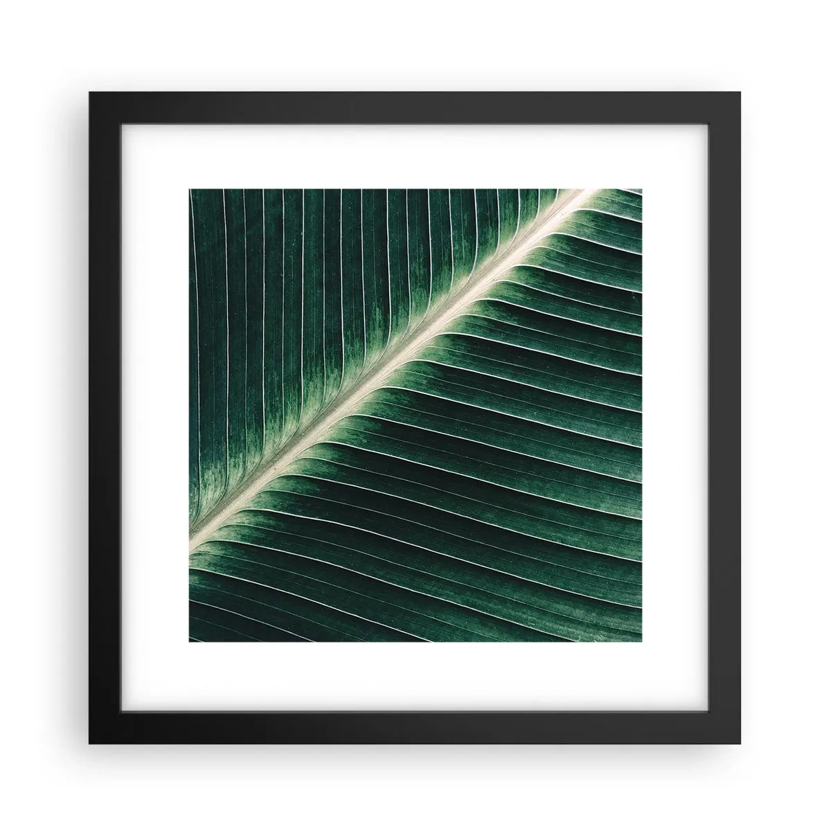 Plakat i sort ramme - Naturens rytme - 30x30 cm