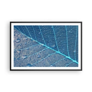 Plakat i sort ramme - Livet i det blå - 91x61 cm