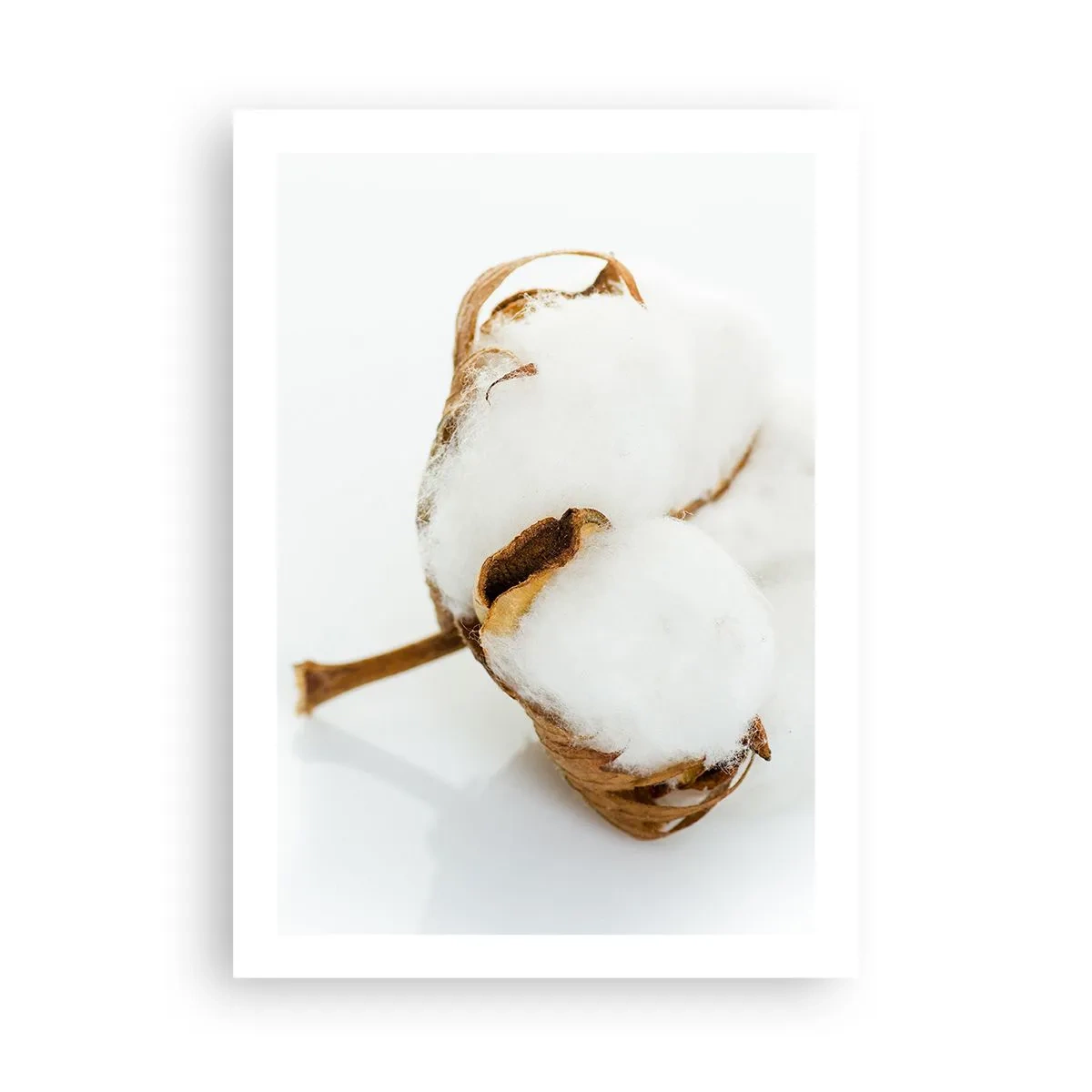 Plakat - Blød af natur - 50x70 cm