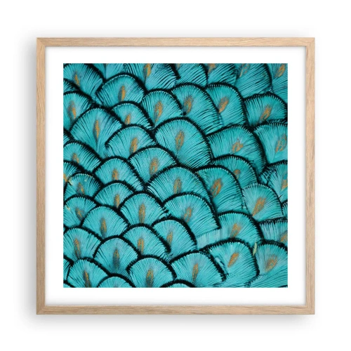 Plakat i ramme af lyst egetræ - Den store fjer-galla - 50x50 cm