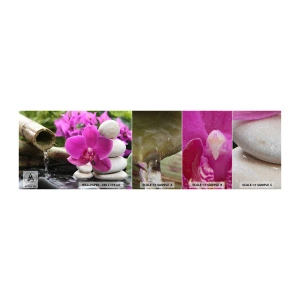 Prøve Fototapet Premium Sand - Du hviler allerede - Blomster, Bambus, Orkidé - 100x30 cm