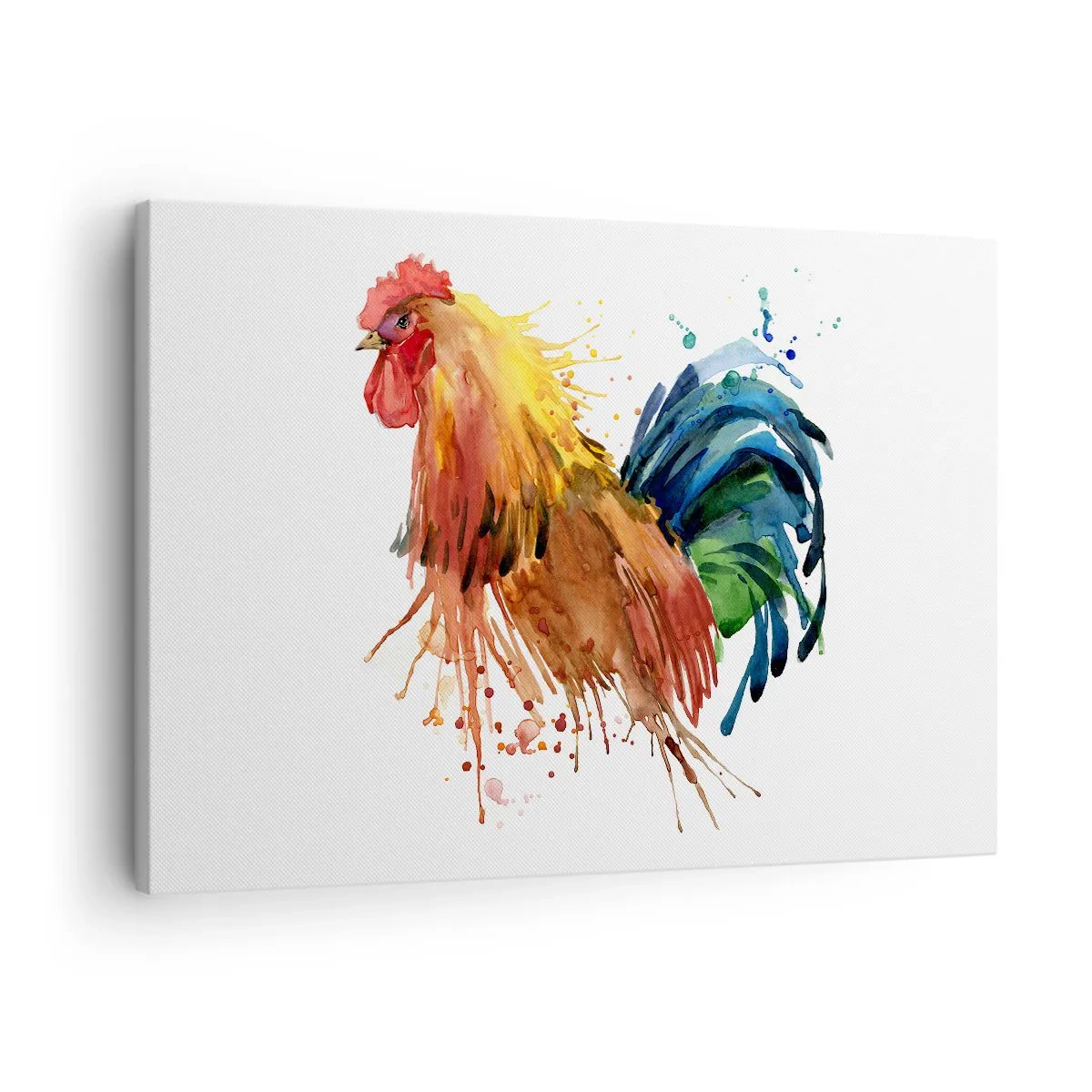 Lærredstryk - Billede på lærred - Farverig hane i akvarelstil - 70x50cm - Kongelig kappe, kongelig stolthed - Moderne vægdekoration til stue og soveværelse ARTTOR