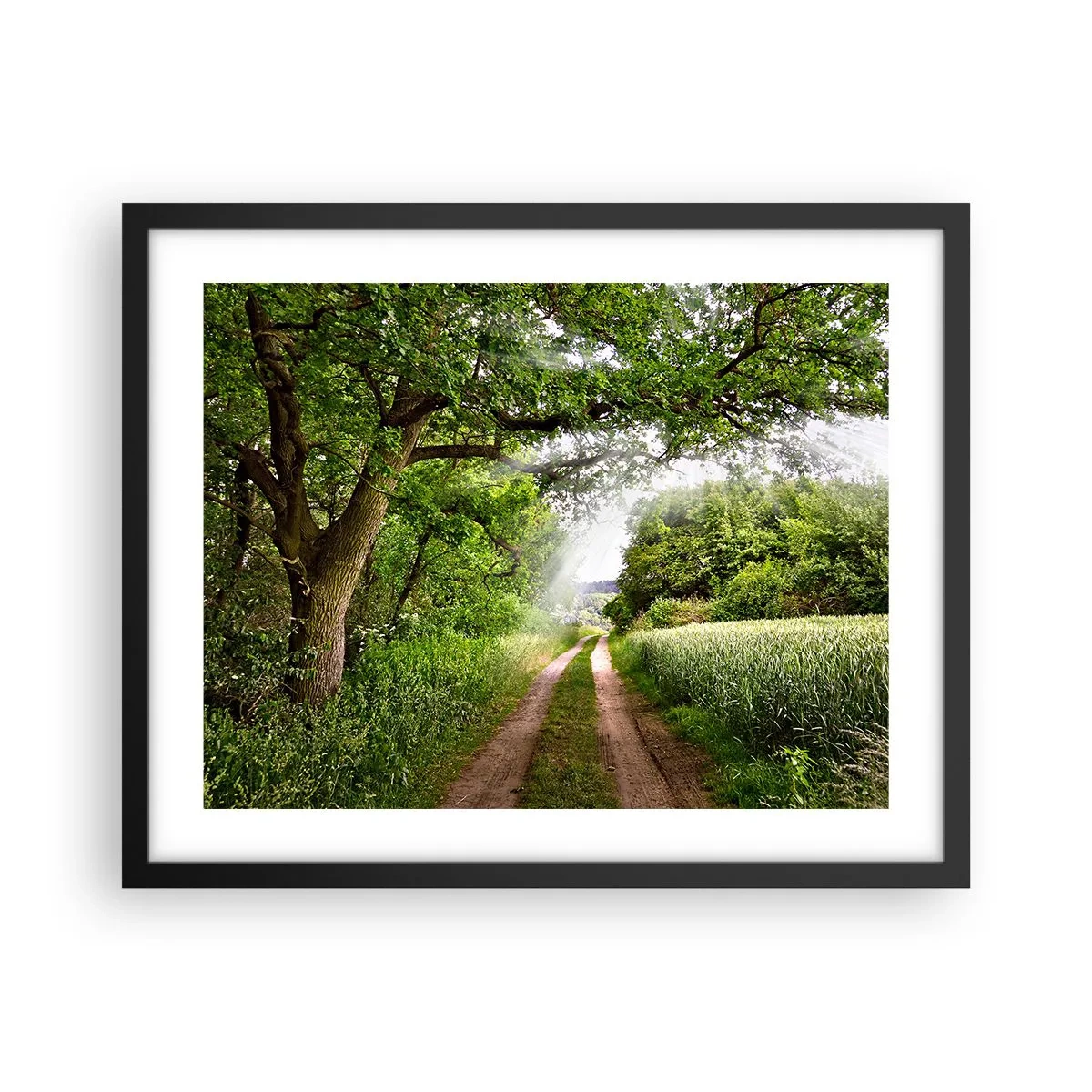 Plakat i sort ramme - Et in Arcadia ego - 50x40 cm