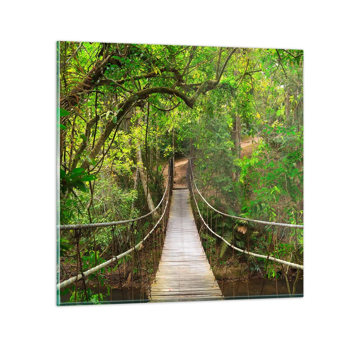 Billede på glas - Fordi der vokser en slyngplante i haven - 70x70 cm