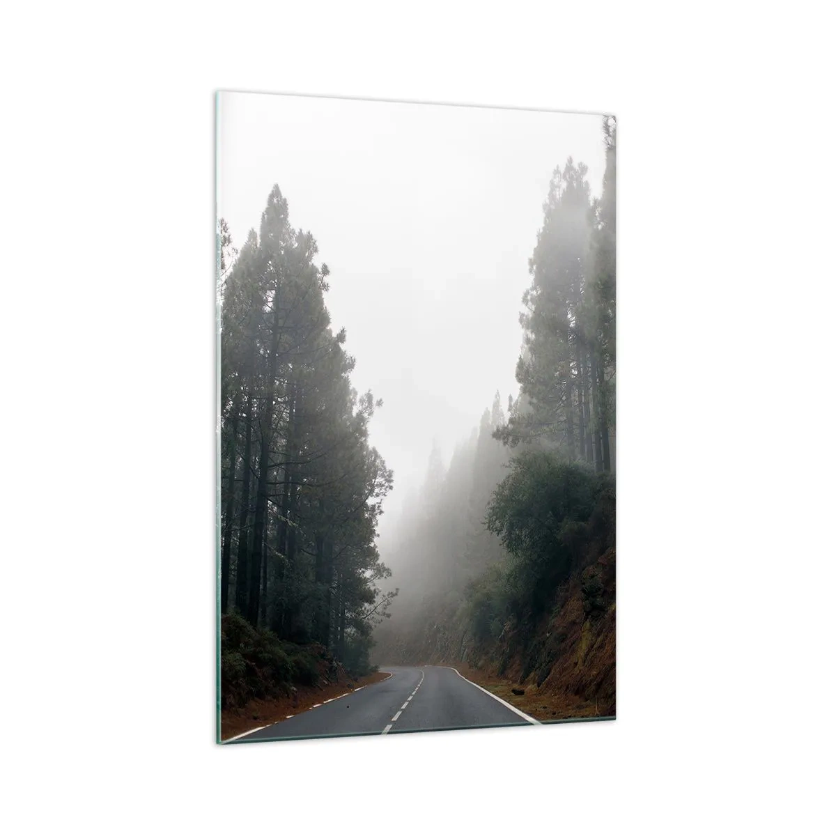 Billede på glas - En fortælling om en magisk skov - 70x100 cm