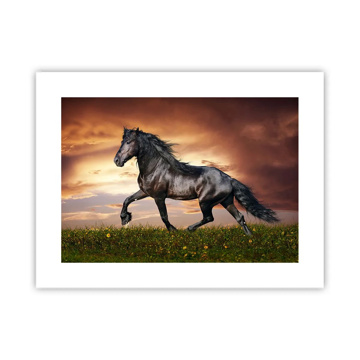 Plakat - Sort prins - 40x30 cm