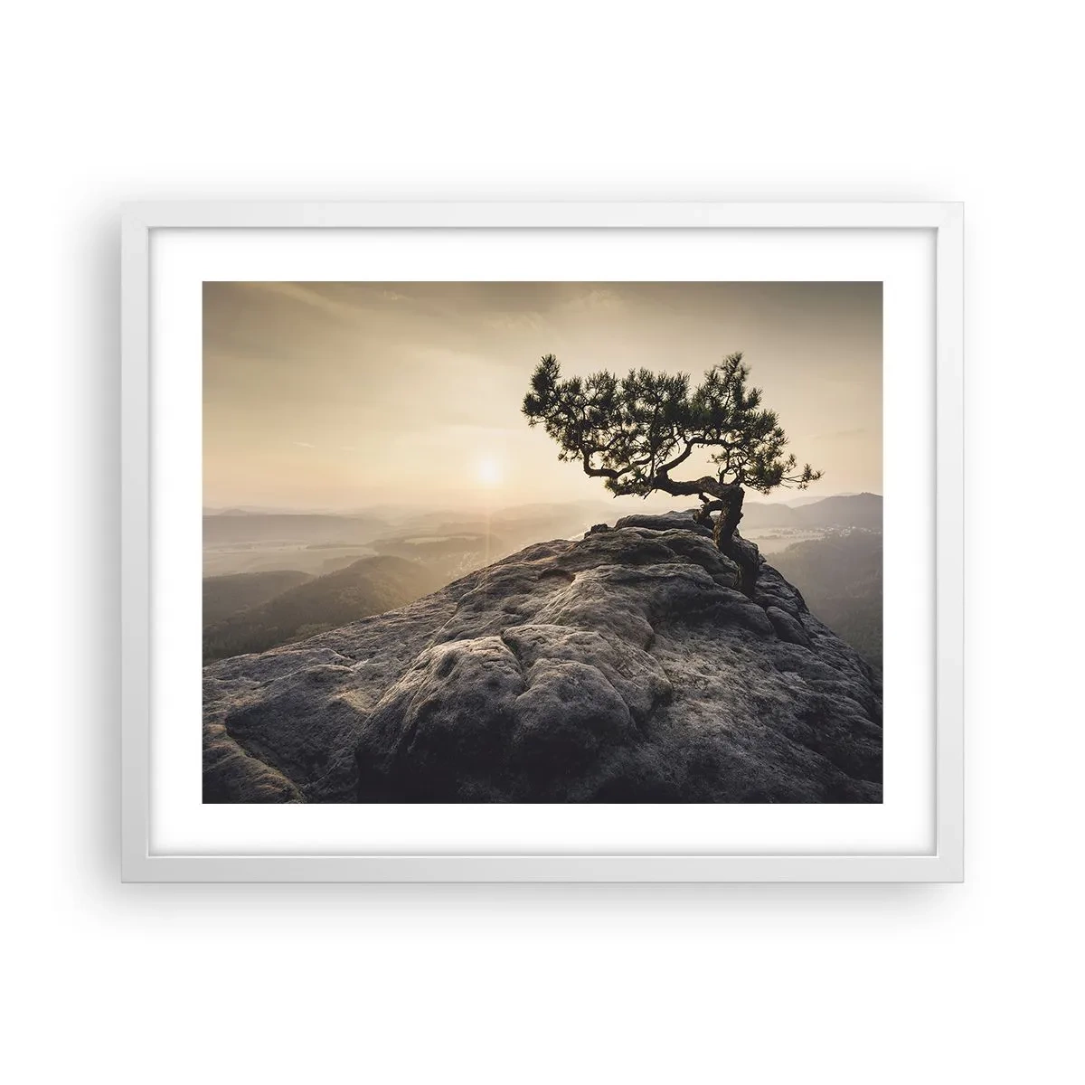 Plakat i hvid ramme - Livet vinder altid - 50x40 cm