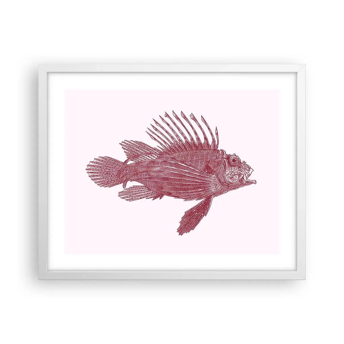 Plakat i hvid ramme - En beboer i eksotiske farvande - 50x40 cm