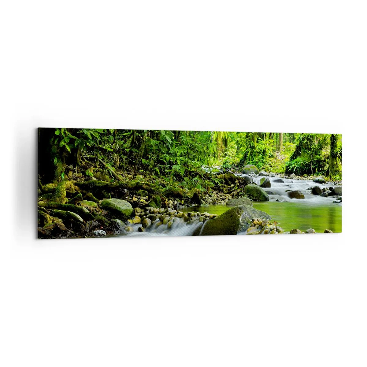 Lærredstryk - Billede på lærred - Svøm i et hav af grønt - 160x50 cm