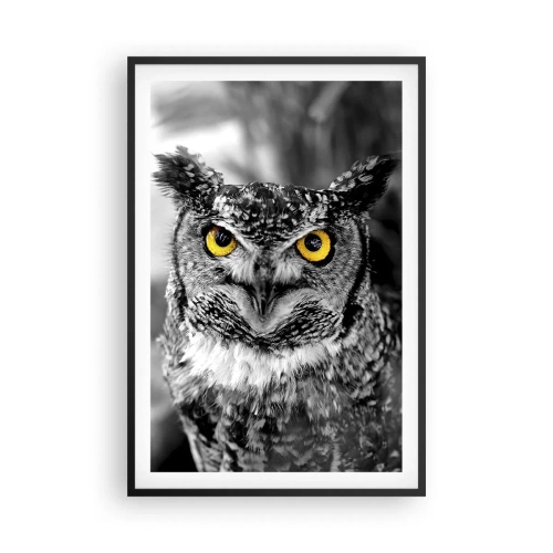 Plakat i sort ramme - Intet kan skjules - 61x91 cm