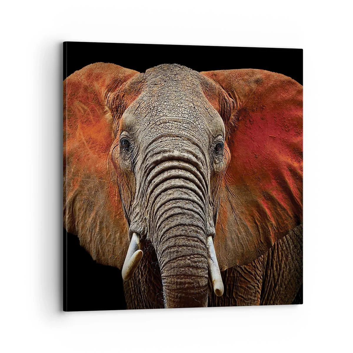 Lærredstryk - Billede på lærred - Jeg er vild, er du? - 70x70 cm