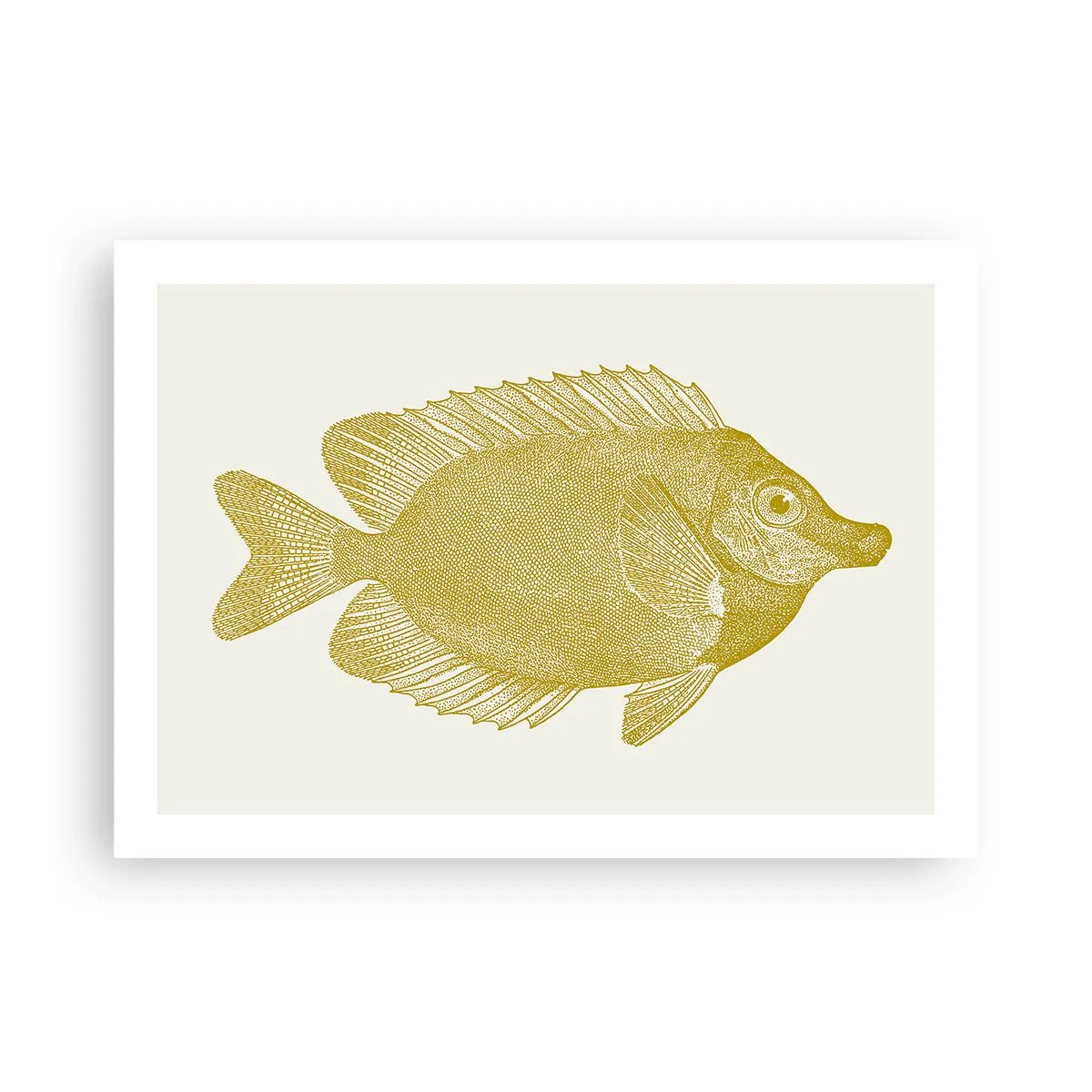 Plakat - Fisk og det er det - 70x50 cm