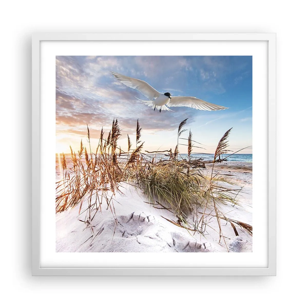 Plakat i hvid ramme - Vind fra havet - 50x50 cm