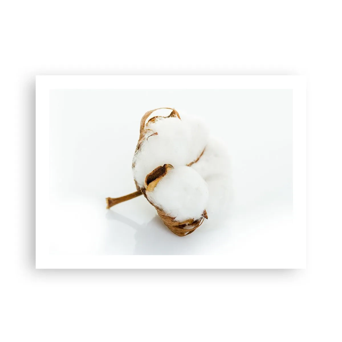 Plakat - Blød af natur - 70x50 cm