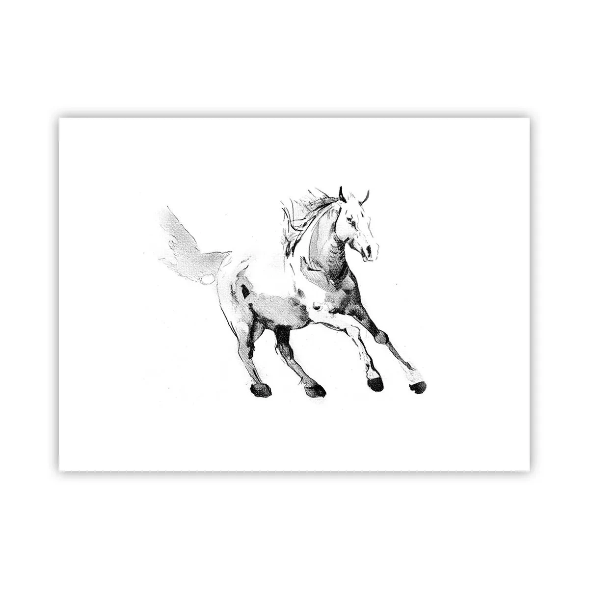 Plakat - Utæmmet sjæl - 40x30 cm